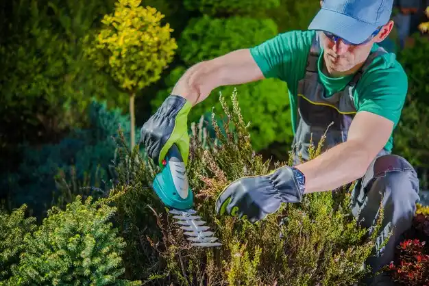 landscaping services South Rockwood